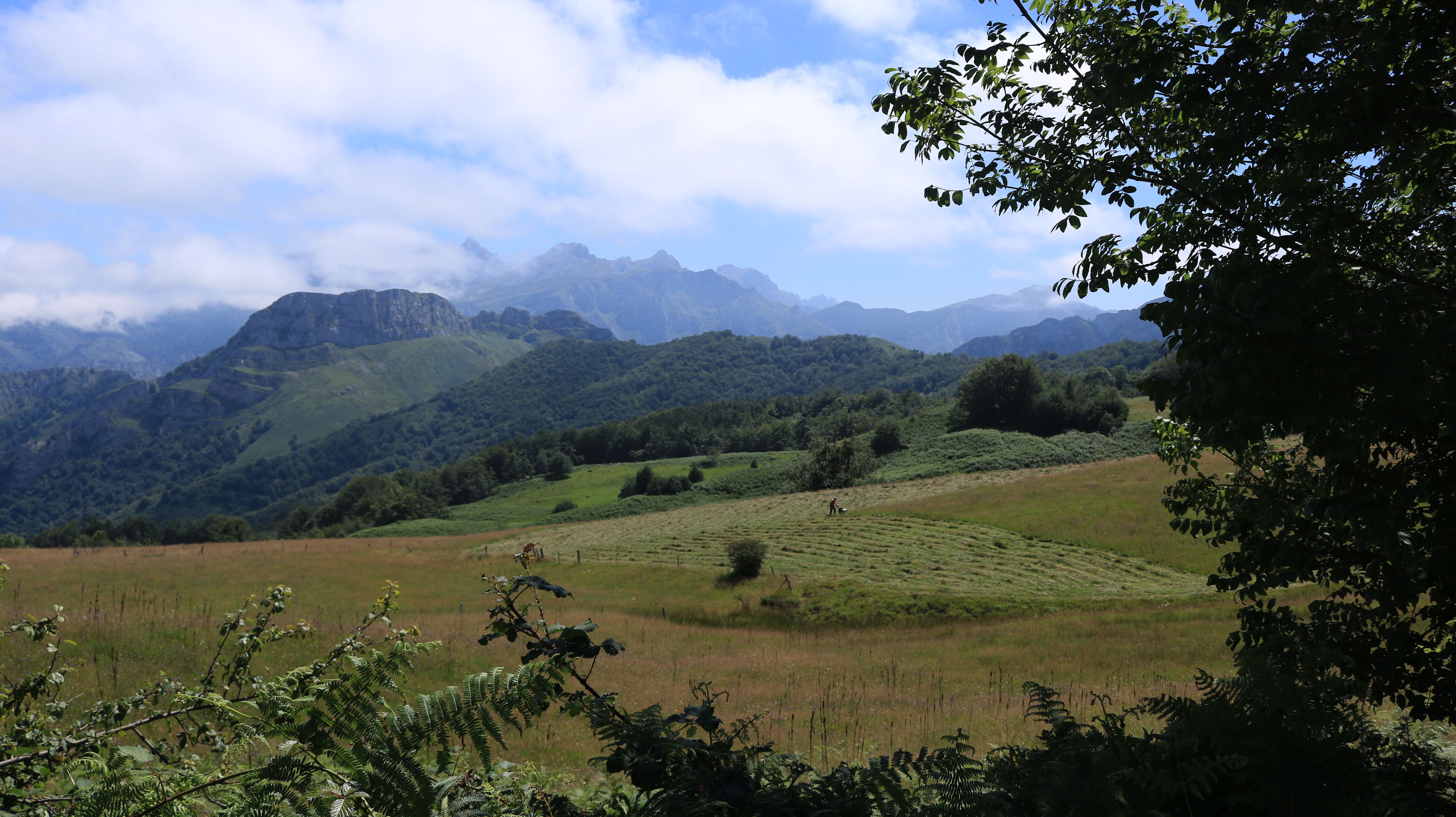Parque Natural de Ponga
